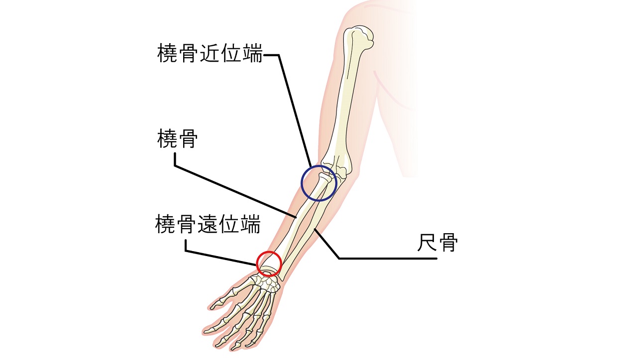 手首骨折リハビリ日記 リハビリやり方や痛みの体験談のブログ Keicyablog