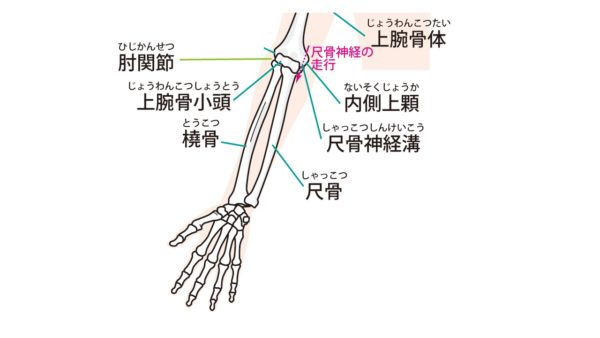 橈骨遠位端骨折